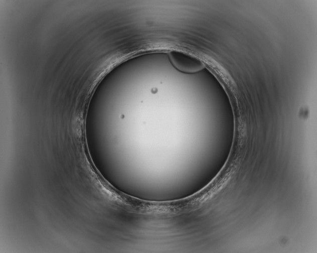 X0000101200993200806271347