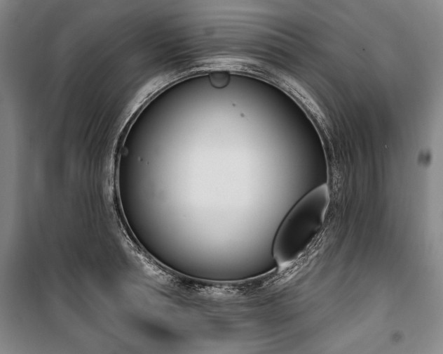 X0000101200994200806271347