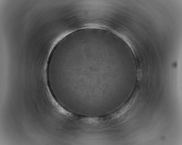 X0000101200995200806271347
