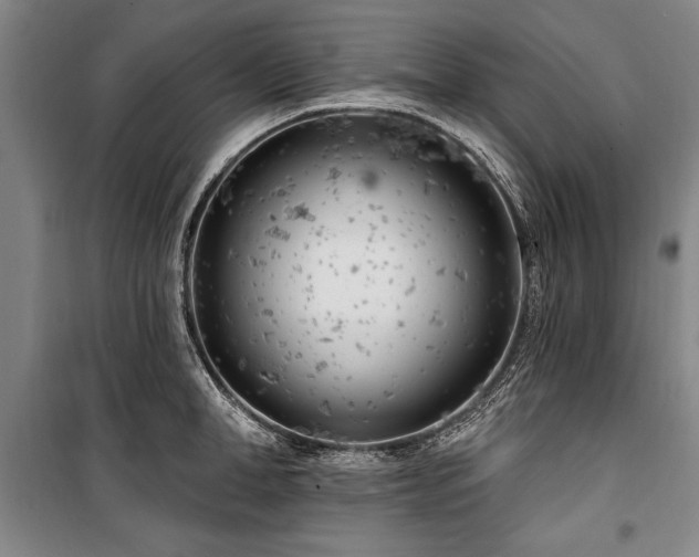 X0000101200998200806271347