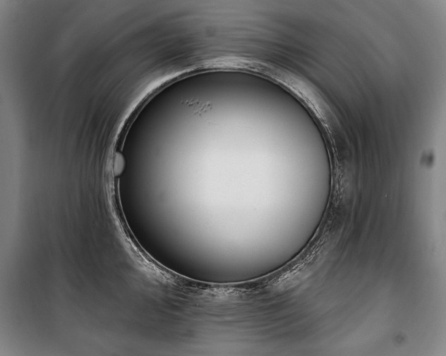 X0000101201000200806271346