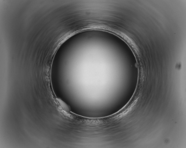X0000101201001200806271346