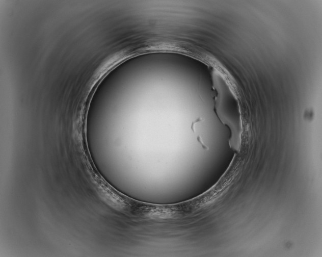 X0000101201002200806271346