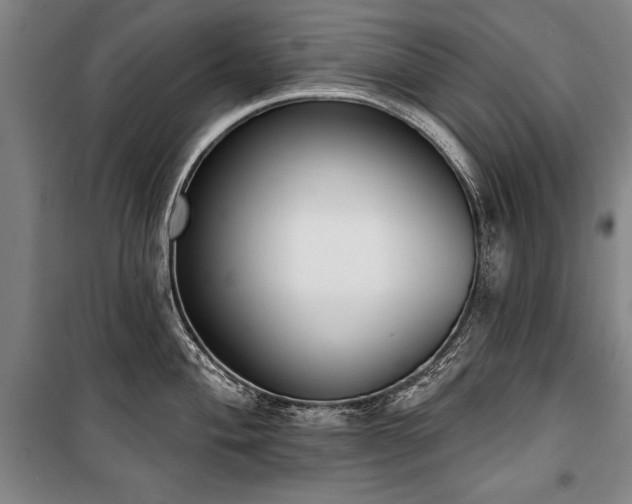 X0000101201004200806271346