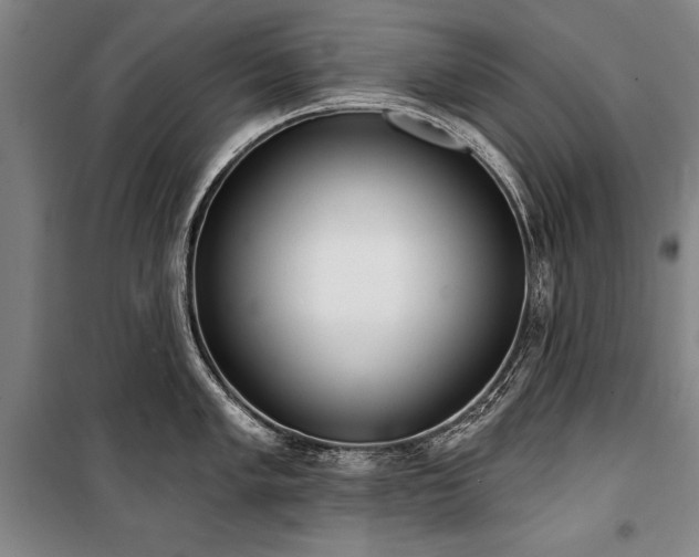 X0000101201005200806271346