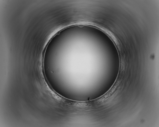 X0000101201006200806271346