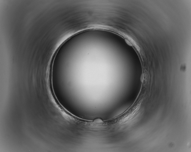 X0000101201007200806271346