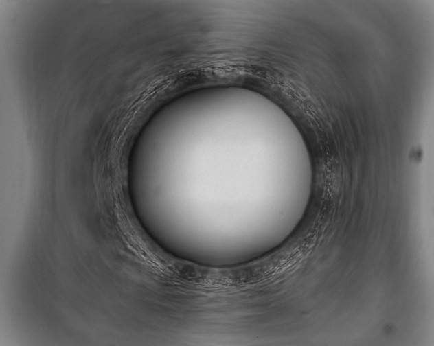 X0000101201009200806271345