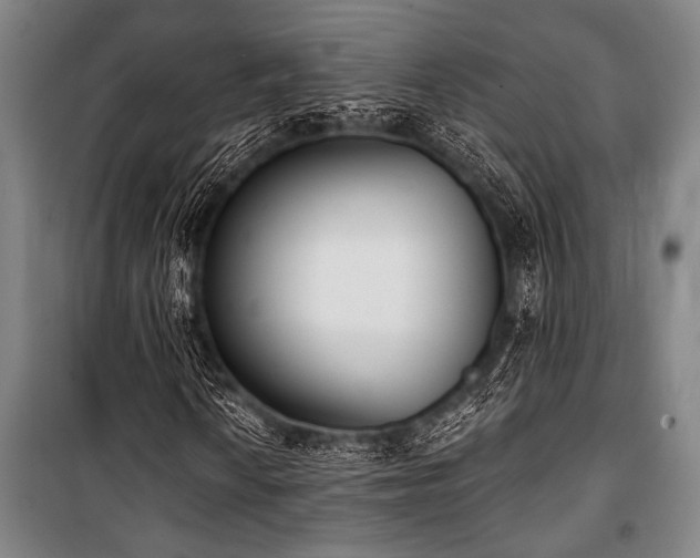 X0000101201010200806271346