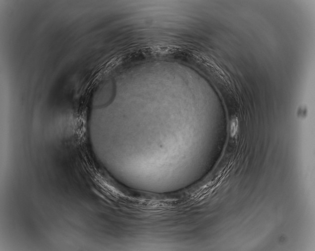 X0000101201011200806271346