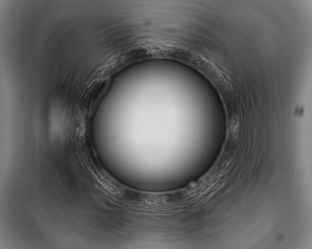 X0000101201012200806271346