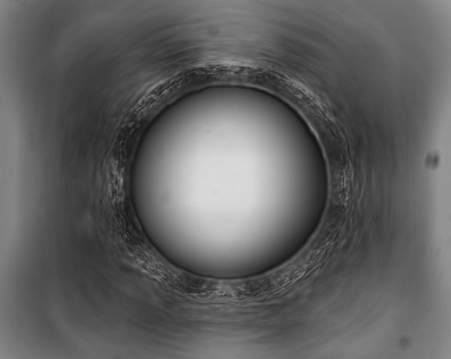 X0000101201013200806271346