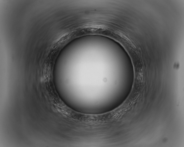 X0000101201014200806271346