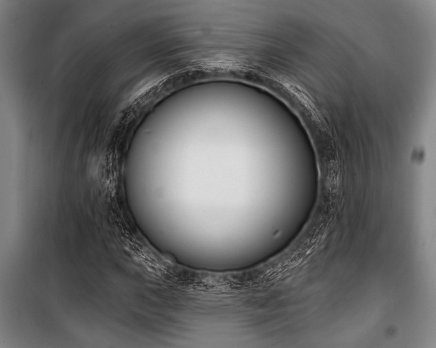X0000101201015200806271346