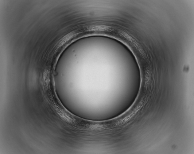 X0000101201017200806271346