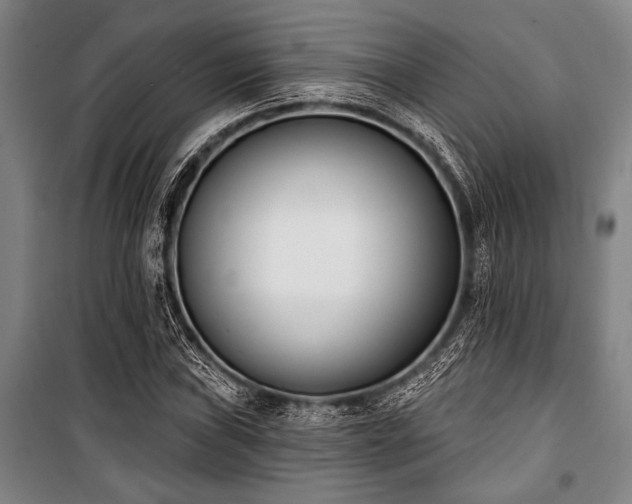 X0000101201019200806271346