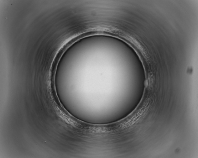 X0000101201020200806271346