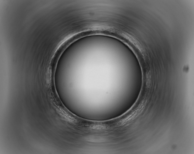 X0000101201021200806271346