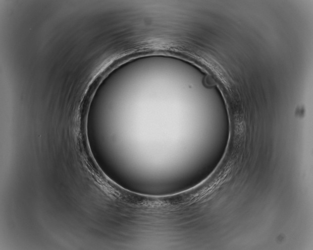 X0000101201023200806271346