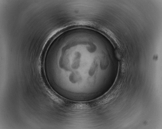 X0000101201024200806271346