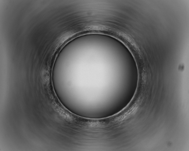 X0000101201025200806271346