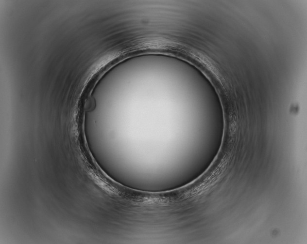 X0000101201026200806271346