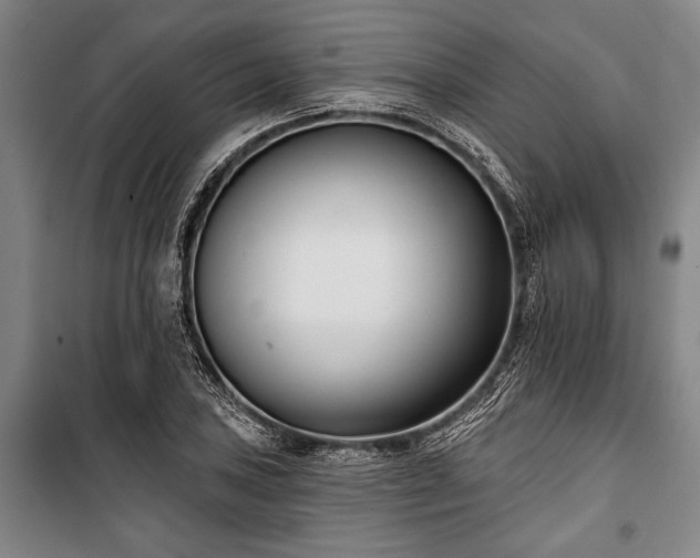 X0000101201027200806271346