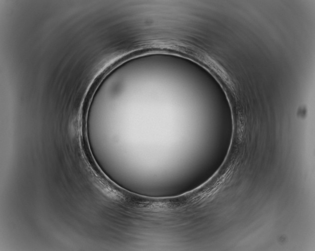 X0000101201028200806271346