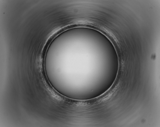 X0000101201029200806271346