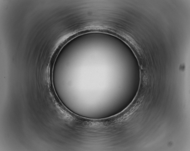 X0000101201030200806271346