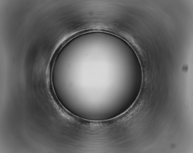 X0000101201032200806271346