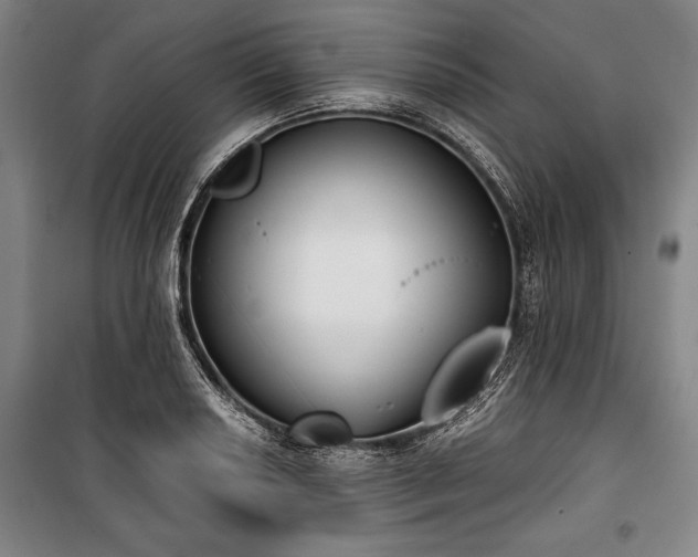 X0000101201034200806271346