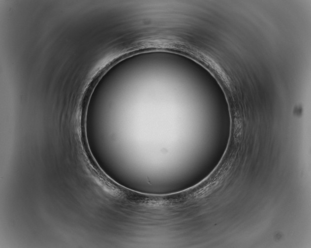 X0000101201035200806271346