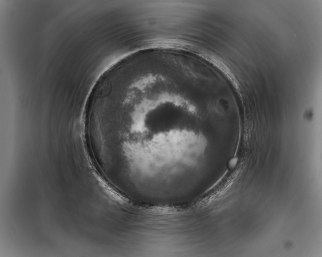 X0000101201037200806271346