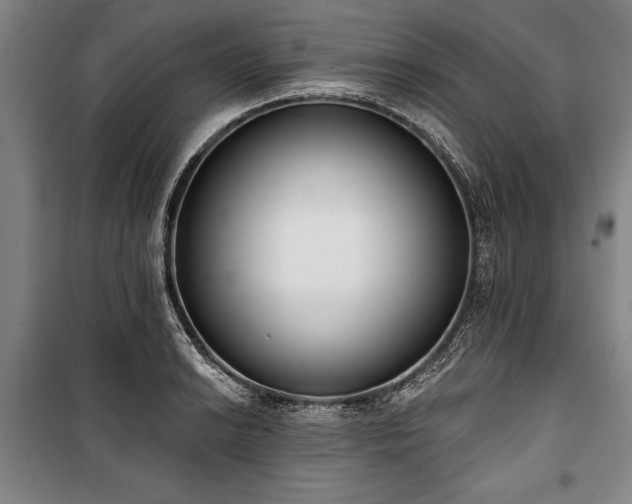 X0000101201038200806271346