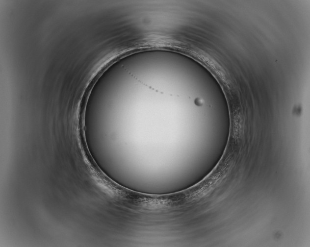X0000101201039200806271346