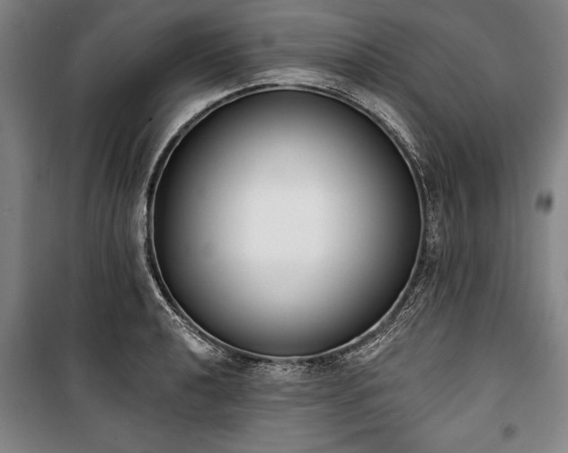 X0000101201040200806271346