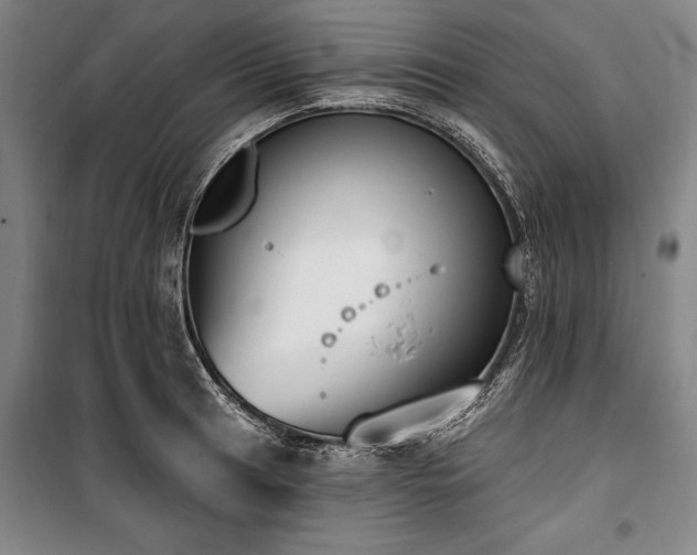 X0000101201041200806271346