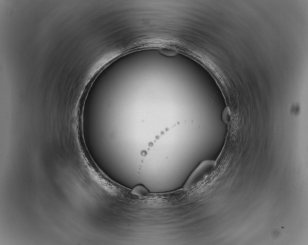 X0000101201042200806271346