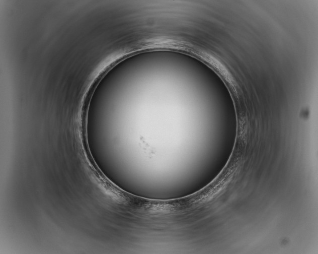 X0000101201043200806271346
