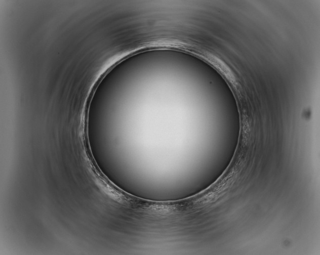 X0000101201044200806271346
