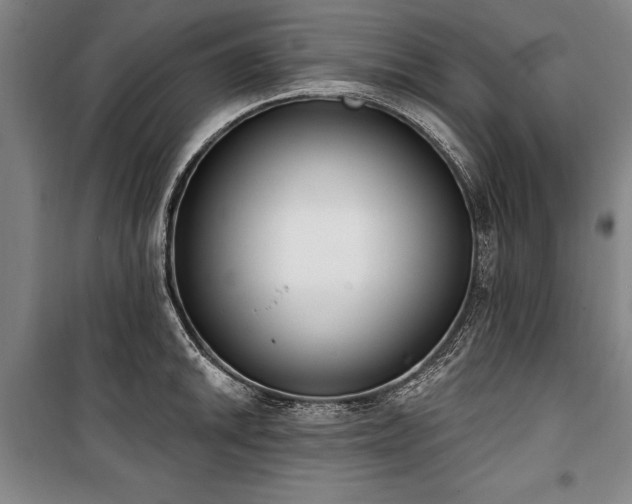 X0000101201046200806271346