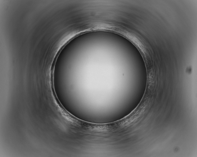X0000101201047200806271346