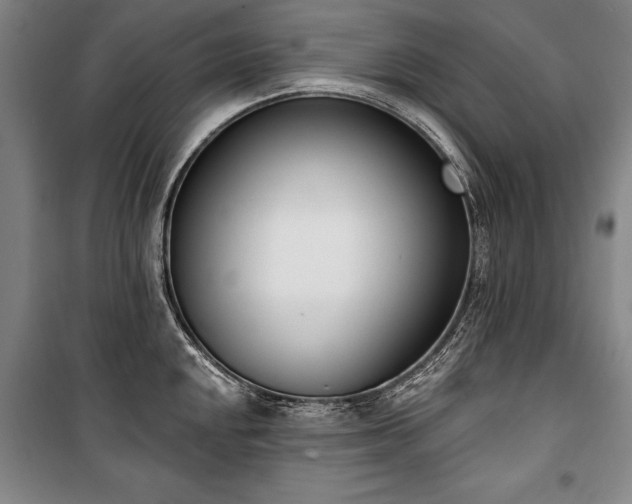 X0000101201048200806271346
