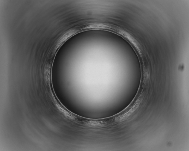 X0000101201049200806271346