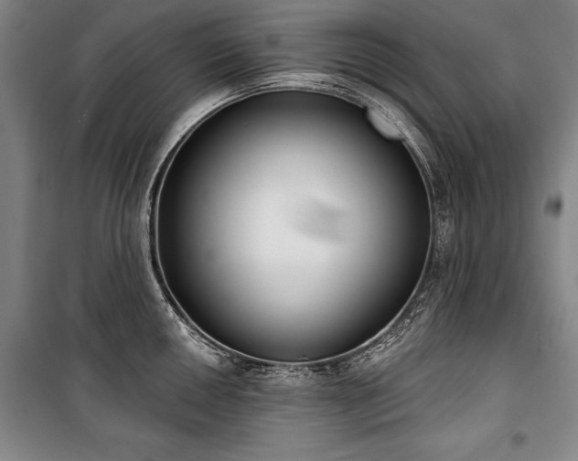X0000101201050200806271346