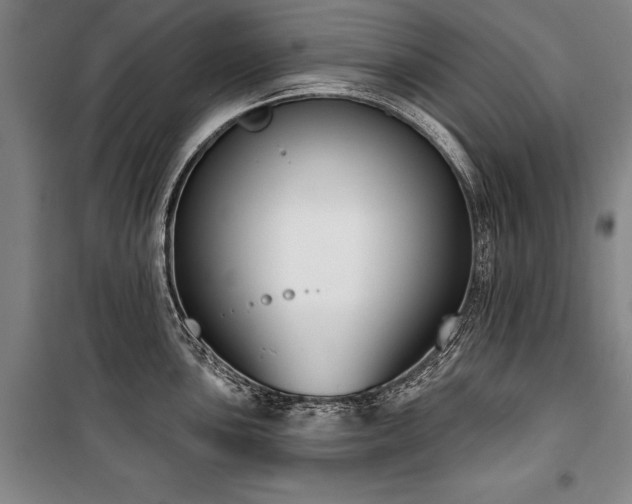 X0000101201051200806271346
