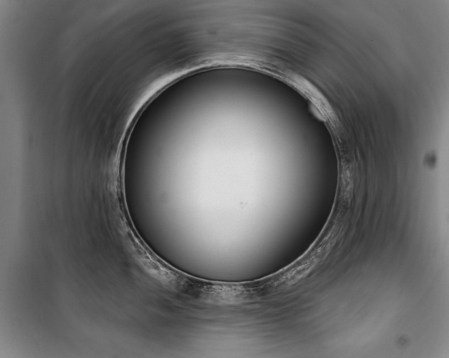 X0000101201052200806271346