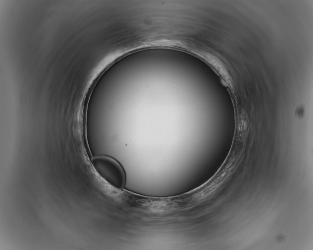 X0000101201054200806271346