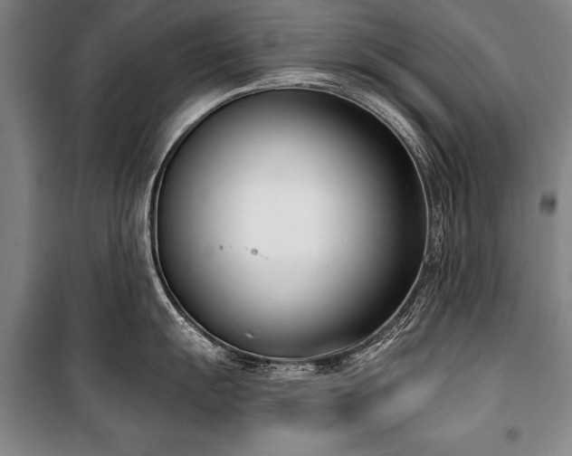 X0000101201055200806271346